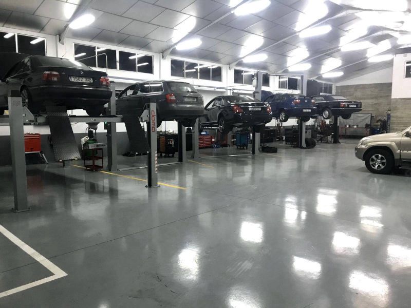 RATON MOTOR