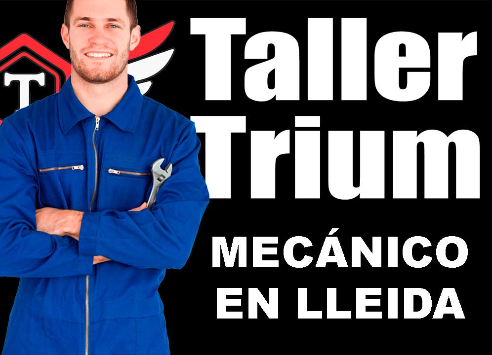 Taller Trium